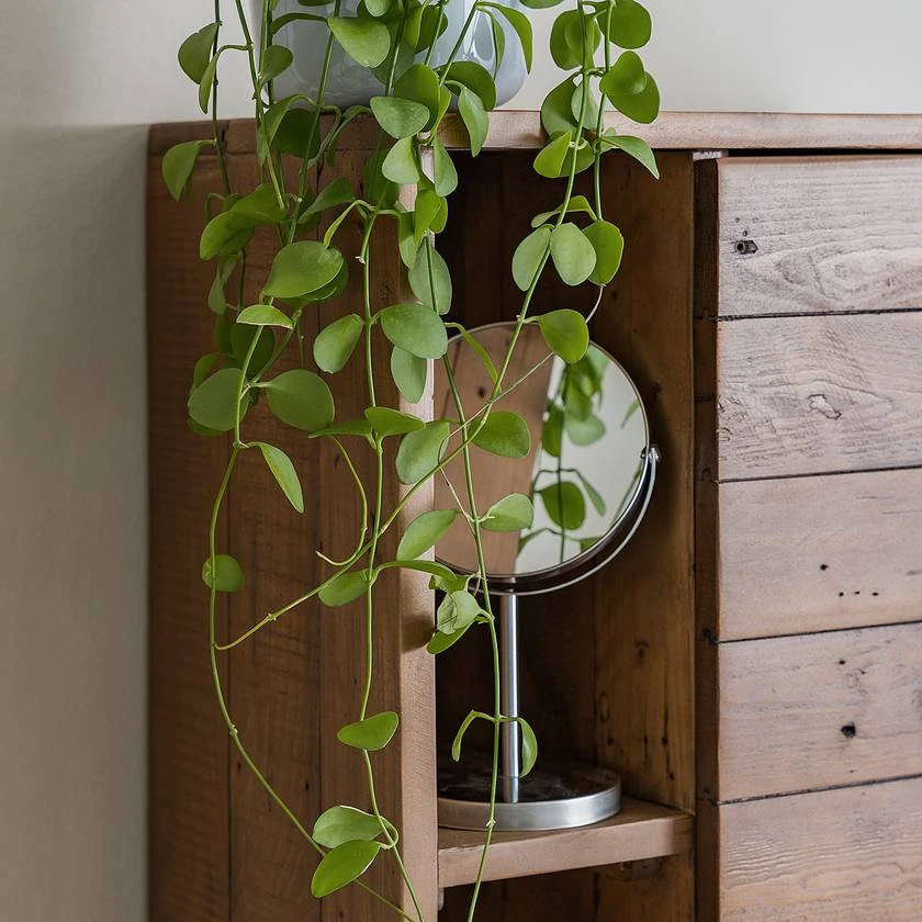 Hochschrank GRASBY Mit 1 Tür - Image 6