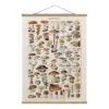Stoffbild Vintage Lehrtafel Pilze